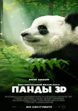 Постер: Панды 3D / Pandas (2018)