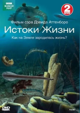 Постер: BBC: Истоки жизни / First Life (2010)