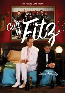 Постер: Зовите меня Фитц / Call Me Fitz (2010)