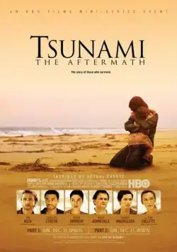 Постер: Цунами / Tsunami: The Aftermath (2006)