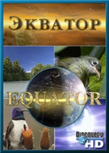 Постер: Discovery: Экватор / Equator (2006)