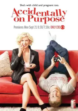 Постер: Преднамеренная случайность / Accidentally on Purpose (2009)