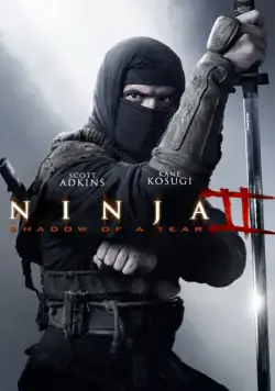 Постер: Ниндзя 2 / Ninja: Shadow of a Tear (2013)