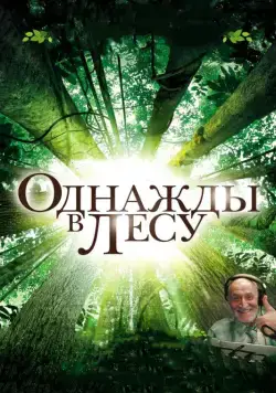 Постер: Однажды в лесу / Once in the Forest (2013)