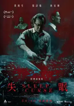 Постер: Бессонница / Shi mian (2017)