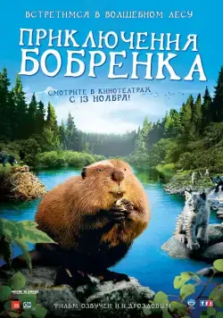 Постер: Приключения бобрёнка / Mèche Blanche, les aventures du petit castor (2007)
