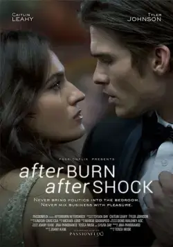 Постер: Страсть и покорение / Afterburn/Aftershock (2017)