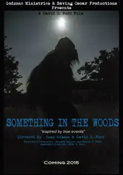 Постер: Нечто из леса / Something in the Woods (2016)