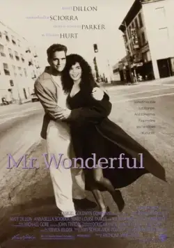 Постер: Мистер Прекрасный / Mr. Wonderful (1993)