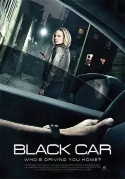 Постер: Роковая поездка / The Wrong Car (2016)