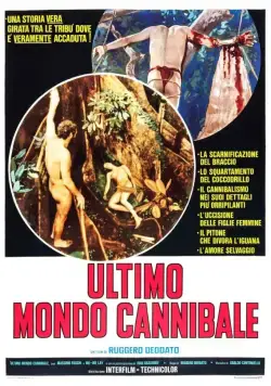 Постер: Ад каннибалов 3 / The Last Survivor (1977)