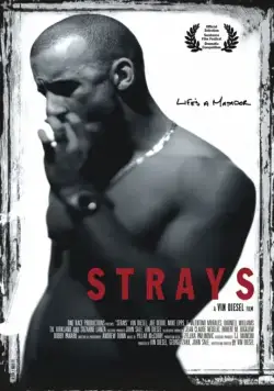 Постер: Бродяги / Strays (1997)