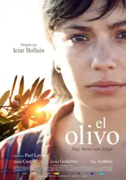 Постер: Олива / The olive tree (2016)