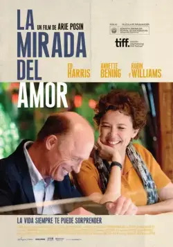 Постер: Лицо любви / The Face of Love (2013)