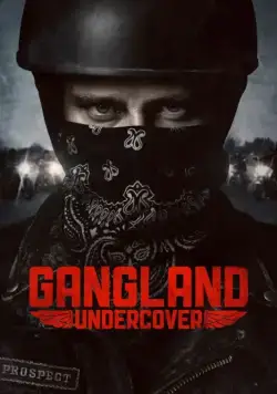 Постер: Под прикрытием (2015)