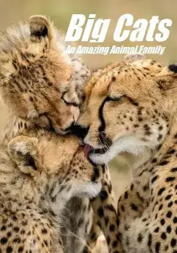 Постер: Кошки: Удивительная звериная семейка / Cats: An Amazing Animal Family (2015)