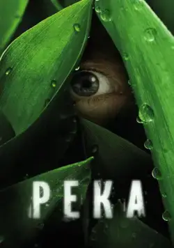 Постер: Река / The River (2012)
