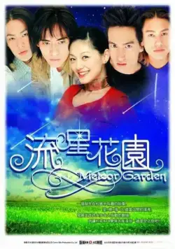 Постер: Сад падающих звезд / Liu xing hua yuan (2001)
