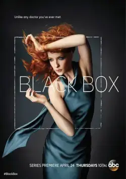 Постер: Чёрный ящик / Black Box (2014)