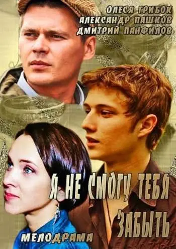 Постер: Я не смогу тебя забыть (2013)