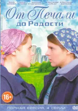 Постер: От печали до радости (2016)