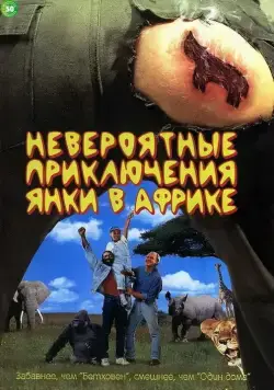 Постер: Невероятные приключения янки в Африке / Yankee Zulu (1993)