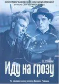 Постер: Иду на грозу (1965)