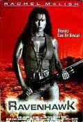 Постер: Черный ястреб / Raven Hawk (1996)
