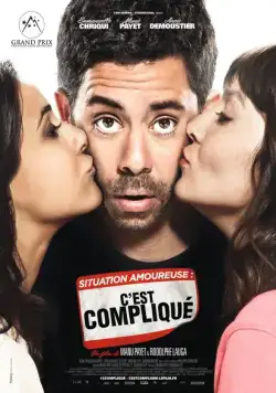 Постер: Любовная ситуация – это непросто / Situation amoureuse: C'est compliqué (2014)