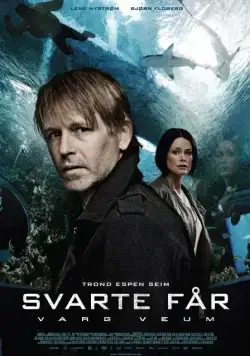 Постер: Варг Веум 8 — Черная овца / Varg Veum - Svarte får (2011)