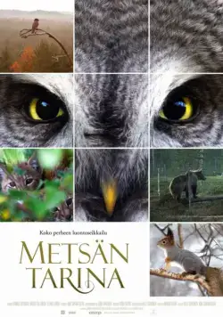 Постер: Чудесный лес / Metsän tarina (2012)