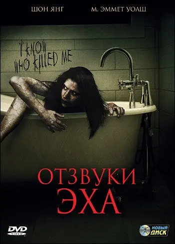 Постер: Отзвуки эха / Haunted Echoes (2008)