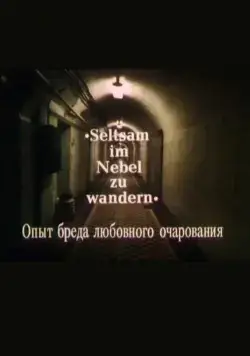 Постер: Опыт бреда любовного очарования (1991)
