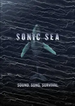 Постер: Оглушающий океан / Sonic Sea (2016)