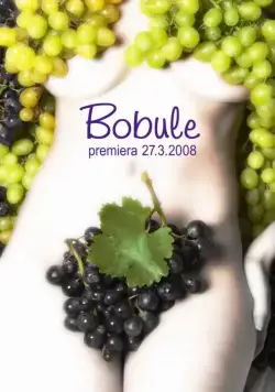 Постер: Ягоды / Bobule (2008)
