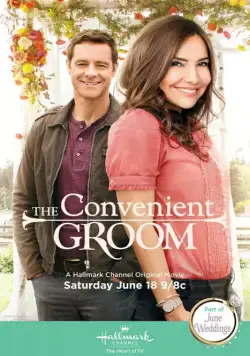 Постер: Подходящий жених / The Convenient Groom (2016)