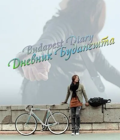 Постер: Дневник Будапешта / Budapeseuteu ilgi (2011)