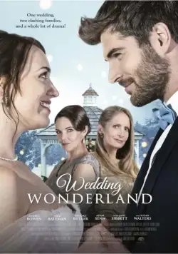 Постер: Успеть выйти замуж / A Family for the Holidays (2017)