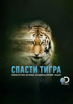Постер: Спасти тигра / Taken by the Tiger (2019)