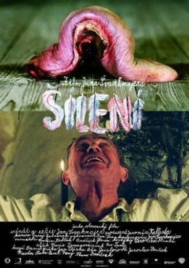 Постер: Безумие / Šílení (2005)