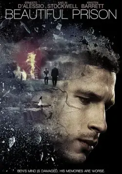 Постер: Контроль разума / Beautiful Prison (2016)