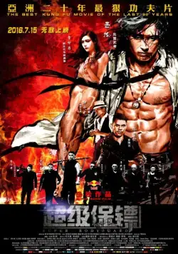 Постер: Телохранитель / Super Bodyguard (2016)