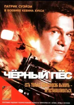 Постер: Черный пес / Alto Riesgo (1998)
