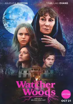 Постер: Лесной наблюдатель / The Watcher in the Woods (2017)