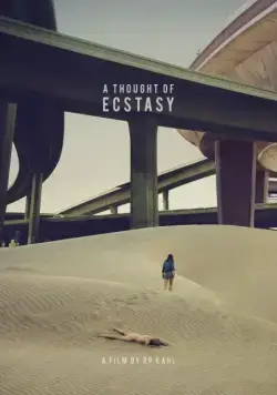 Постер: В поисках наслаждения / A Thought of Ecstasy (2017)