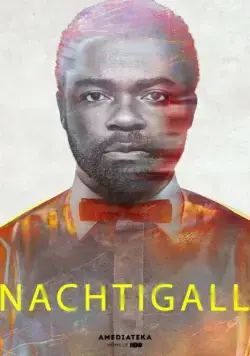 Постер: Соловей / Nightingale (2014)