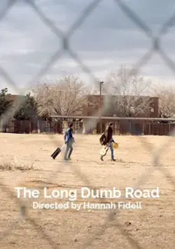 Постер: Долгая идиотская дорога / The Long Dumb Road (2018)