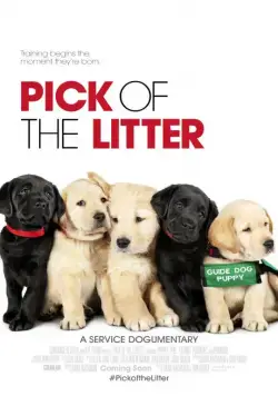 Постер: Выбор щенка / Pick of the Litter (2018)