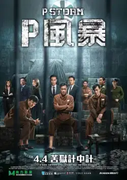Постер: Шторм P / P Storm (2019)