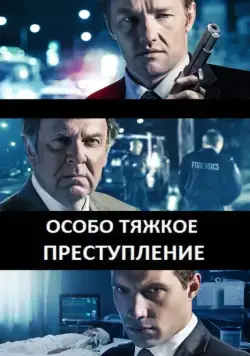 Постер: Особо тяжкое преступление / Felony (2013)